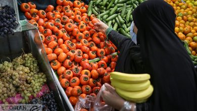 توت‌فرنگی، گوجه سبز و چغاله بادام را ارزان بخرید