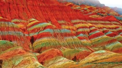 درباره یک خاکسپاری - ایسنا