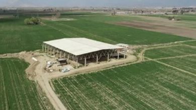 ساماندهی مسیر دسترسی به محوطه تل آجری تخت جمشید
