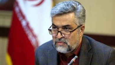 وزارت بهداشت :استان فارس قرمز تیره در مصدومان تصادف نوروزی و سیستان‌وبلوچستان در قله مرگ‌ومیر قرار گرفتند