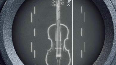 کوچک‌ترین ویولن جهان ساخته شد