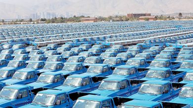 آغاز فروش نقدی و اقساطی زامیاد
