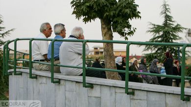اطلاعیه مهم سازمان بازنشستگی/ این دسته از بازنشستگان حتما بخوانند