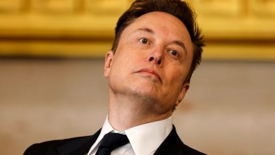 ایلان ماسک با یک کشور عرب همکار شد