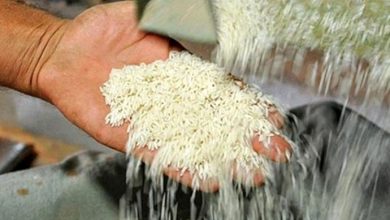 برنج چقدر ارزان شد؟/ این اقلام را در میادین میوه و تره‌بار ارزان‌تر بخرید
