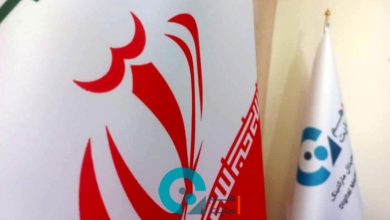 آژانس هم سایت بهترین راه برای رشد کسب و کار ها