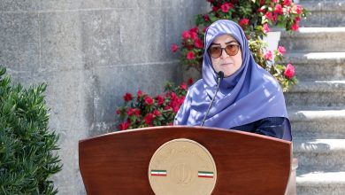 سخنگوی دولت عنوان «اینترنت طبقاتی» را تکذیب کرد