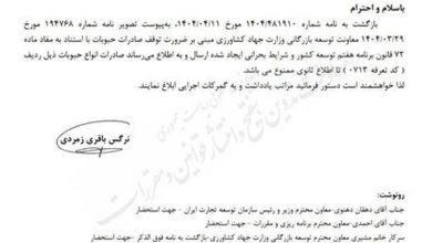 صادرات حبوبات