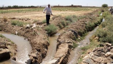 هدررفت حیرت آور آب در مسیر انتقال به زمین های کشاورزی