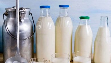 آیا میزان کلسیم در سنجد، کلم یا پای مرغ از لبنیات بیشتر است؟