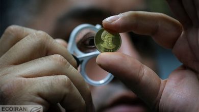 ۱۵ قطعه از انواع سکه برای هر کدملی در پیش فروش