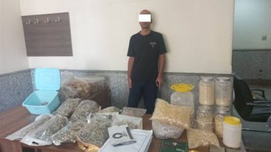 دستگیری مواد فروشی با 2000فالوئر در اینستاگرام/ کشف 17کیلو قارچ سمی توهم‌زا