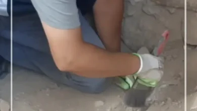 رازهای خانوادۀ مغول‌ها پس از ۱۸ سال در گنبد سلطانیه فاش شد / کاوش تا شهریورماه ادامه خواهد داشت + فیلم