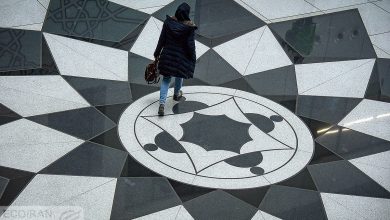 صیدی:امیدوارم با دستور پزشکیان، وضعیت نرخ ارز اصلاح شود