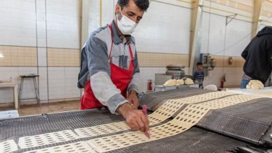 فناوری و تجهیزات؛ محور کلیدی ارتقای بهره‌وری نان