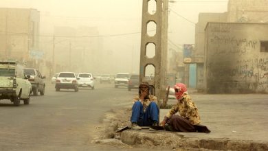 هشدار نارنجی هواشناسی برای این استان صادر شد/ طوفان و گردوخاک تا اواسط هفته آینده