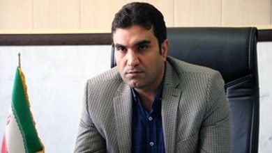 پرونده تخلفات کروز به زودی در قوه قضائیه مطرح می‌شود