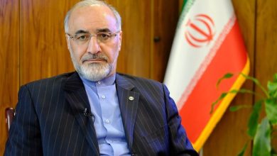 پیش نیاز سرمایه گزاری و رشد اقتصاد ایران آرامش است نه بیانیه های اختلاف افکن