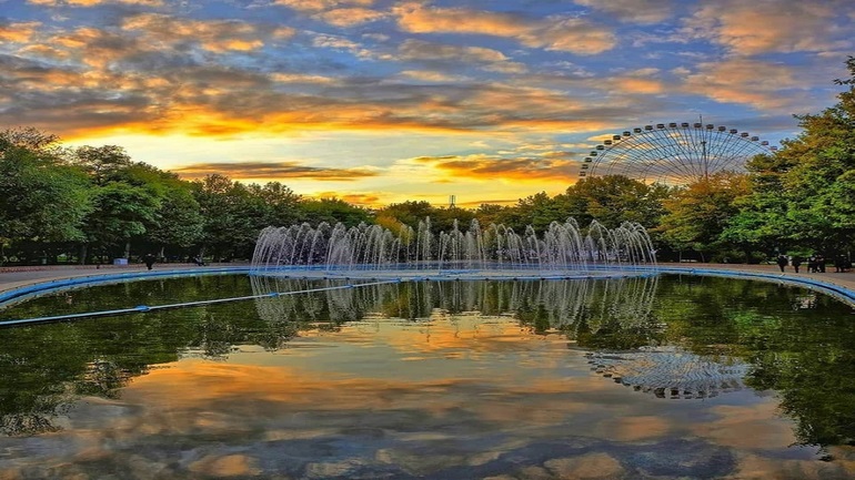 سفر به مشهد