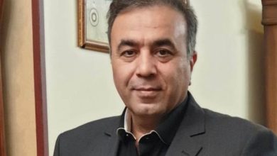 بار روانی مکانیسم ماشه بیش از خود آن است/ نوسانات قیمت دلار پایدار نیست؛ بازار برمی‌گردد