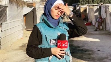 شمسایی: خبرنگار تسنیم در غزه جلوه ای از مبارزه فعال و موثر علیه اشغالگران را نشان داد