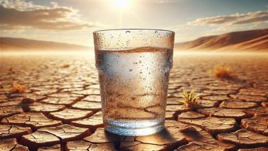 عقبماندگی 40درصدی بارشهای امسال/ رتبه دوم خشکترین سال نیمقرن اخیر