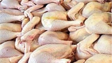قیمت انواع مرغ قطعه بندی طعم دار بسته‌بندی اعلام شد