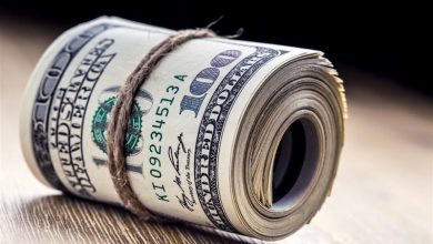 محکومیت 500میلیارد تومانی یک قاچاقی ارز