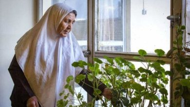 ارتباط عاطفی کودک با مادربزرگ و رشد روانی سالم