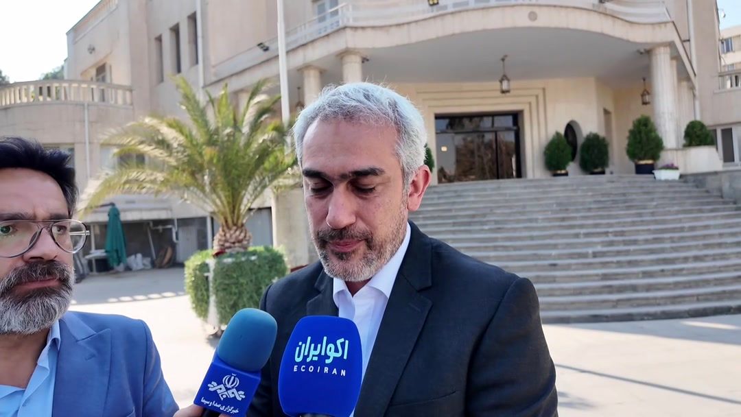 بانک‌های ناتراز اگر اصلاح نشوند به سرنوشت بانک آینده دچار می‌شوند