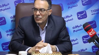 جذب سرمایه خارجی از کشورهای دوست و منطقه در راستای سیاست پادشکنندگی است