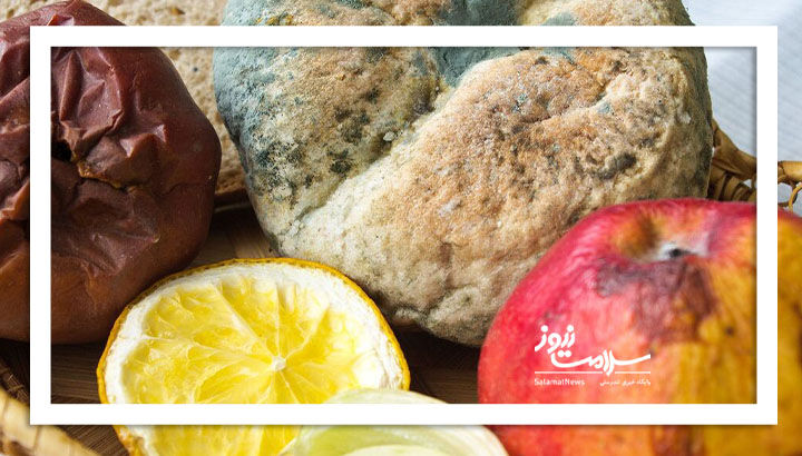 سموم مرگبار در مواد غذایی کپک‌زده؛ هشدارهای جدی برای سلامتی