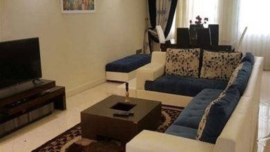 شناسایی خانه های خالی با سامانه خودنویس چگونه امکان پذیر خواهد شد؟