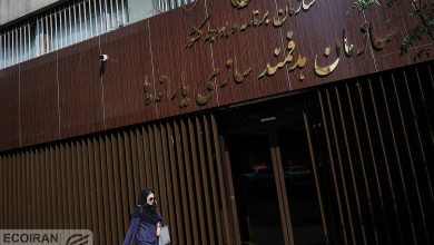 طرح جدید دولت در راه است!