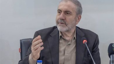 نیاز شرکت‌های دارویی با کشت کنترل شده شقایق الیفرا تأمین می‌شود