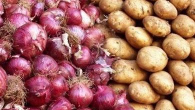 هسته‌ای در کشاورزی ــ 41