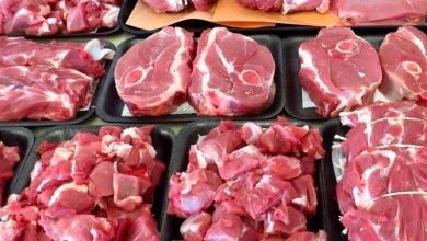 واردات گوشت گوسفند روسی به کشور