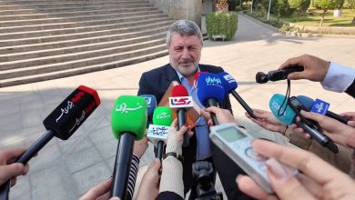 واکشن الیاس حضرتی به فیش حقوقی 200 میلیونی یک کارمند در دولت/ ما سیاسیون عادت داریم مدام با هم دست به یقه شویم