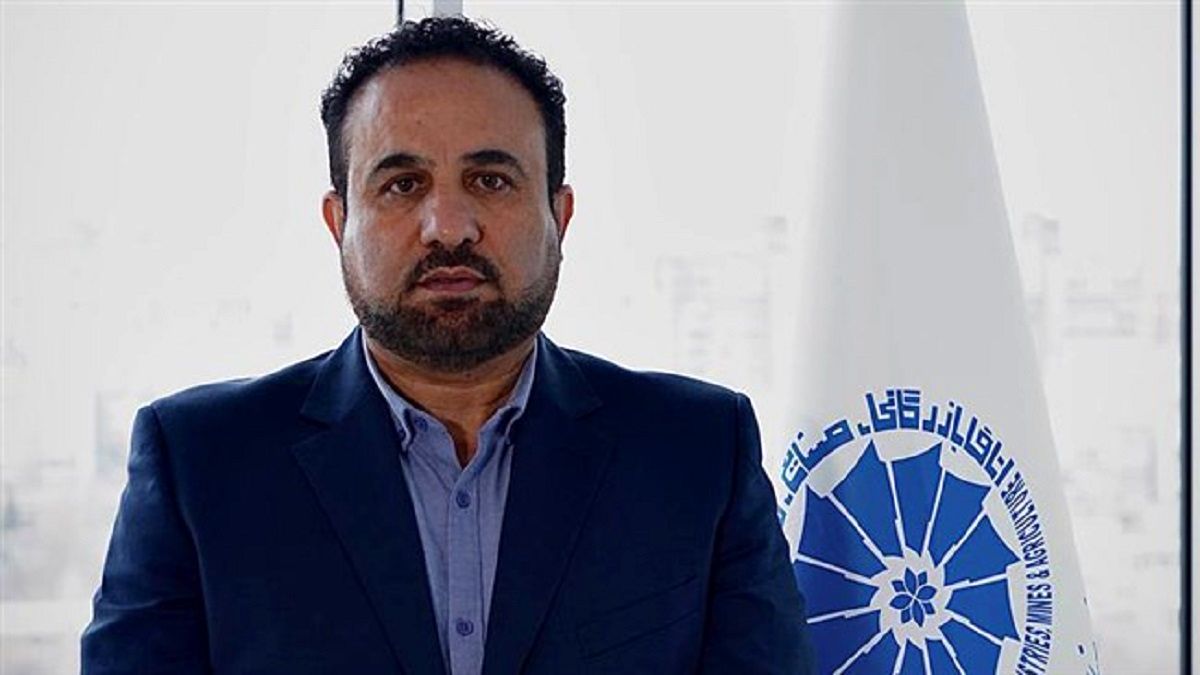 آزادسازی قیمت آرد، راهکار پایان رانت و تقویت صادرات نان صنعتی