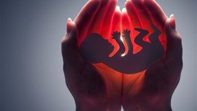 آمار سقط جنین در کشور کاهش یافت/ طرح "نفس" باعث انصراف از سقط 15هزار جنین شد