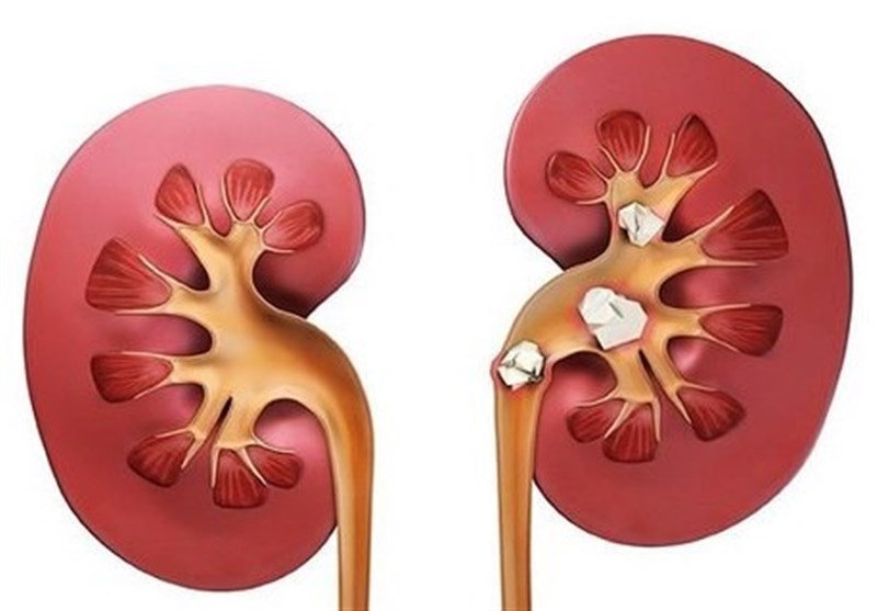 اخبار پزشکی