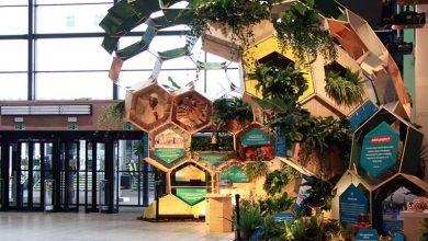 از اقتصاد هنر تا اکوسیستم خلاق دیجیتال؛ رویکرد تازه در فهم توسعه فرهنگی