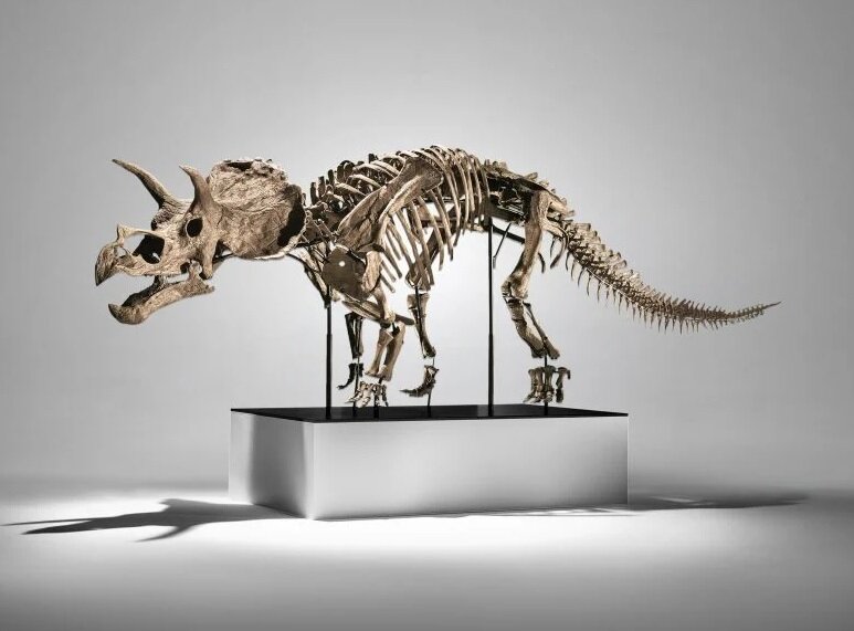 اسکلت دایناسور را ۵ میلیون دلار فروختند!