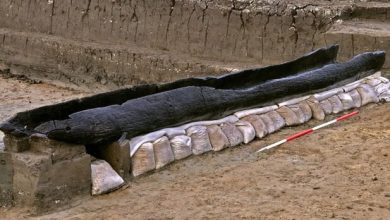 اطلاعاتی که سه قایق افشا کردند