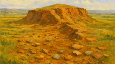 «باخه‌نام» ردپای استقرارهای عصر برنز تا آهن در دشت ایلام