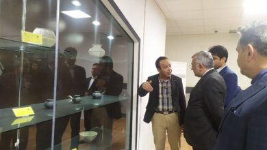 بازدید معاون عراقچی از محوطه باستانی شهر سوخته