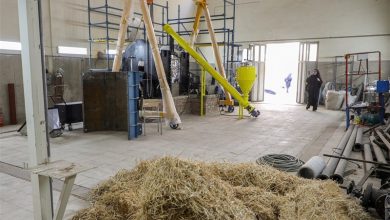 بایوچار مصرف آب کشاورزی را تا 30 درصد کاهش می‌دهد