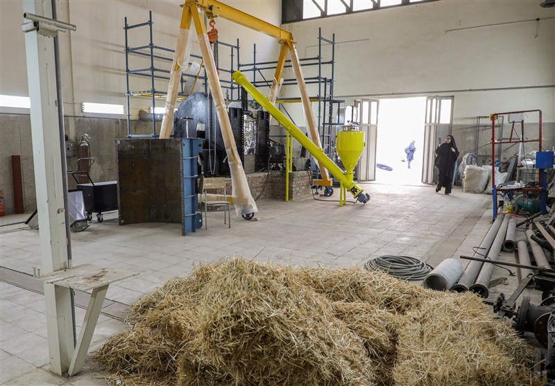 بایوچار مصرف آب کشاورزی را تا 30 درصد کاهش می‌دهد