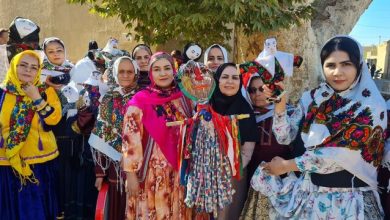 برپایی جشنواره سفر به زیستگاه زاغ بور در روستای قلعه بالا