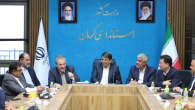 برگزاری همایش بین‌المللی باستان‌شناسی جیرفت ۷ تا ۱۰ دی/ آغاز معرفی جهانی تمدن هلیل‌رود